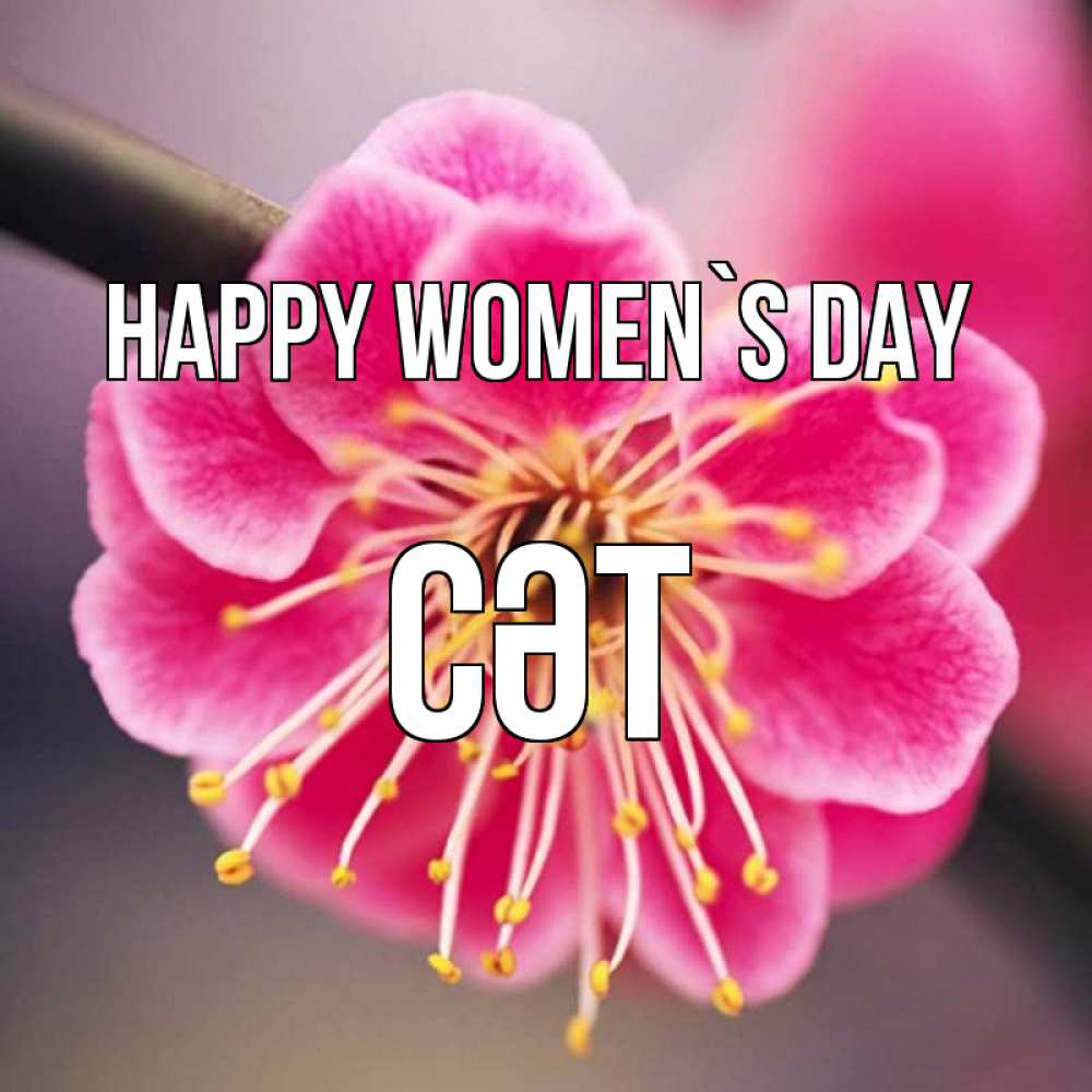 Greetings card с именем, СӘТ happy women`s day цветы Greetings with text for free download 